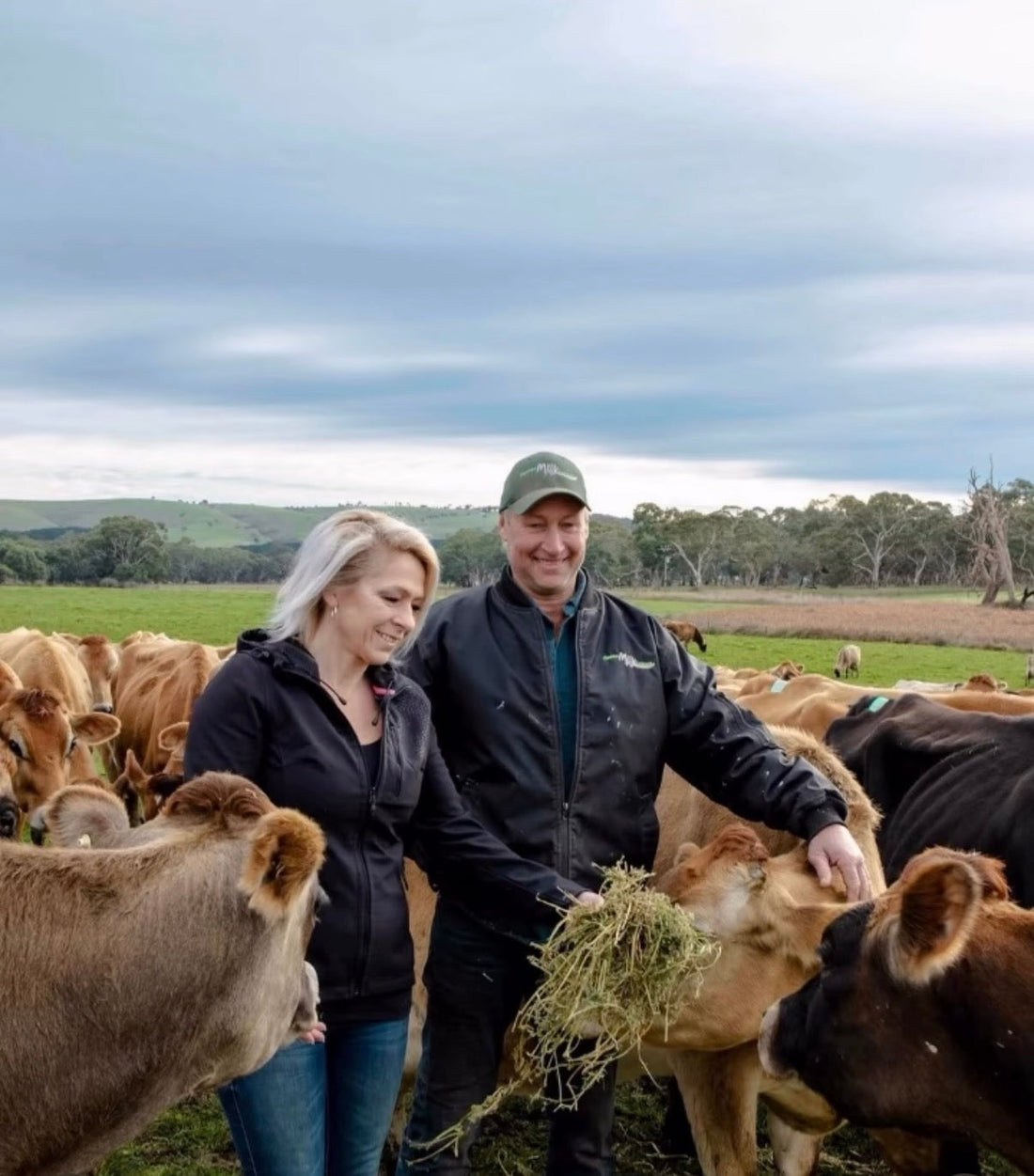 Our August Hero Ingredient: Fleurieu Milk Company